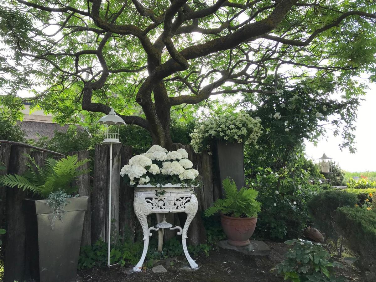 Viktoria House Villa Балатонсарсо Екстериор снимка