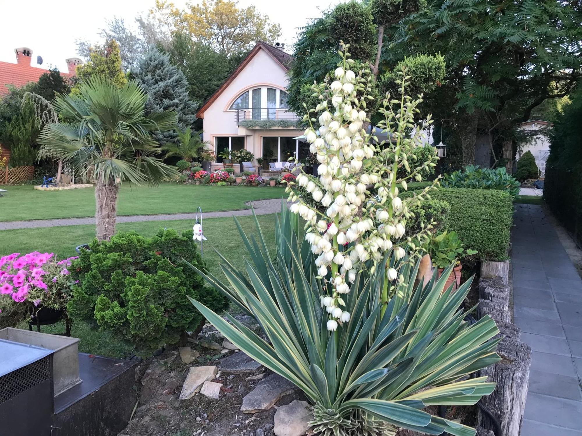Viktoria House Villa Балатонсарсо Екстериор снимка